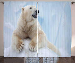 White Polar Bear on Ice Curtain