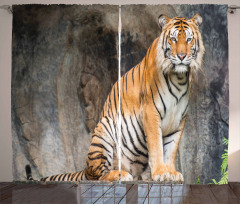 Bengal Tiger Cat Predator Curtain