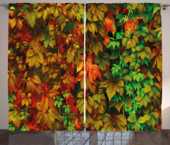 Colorful Leafage Vivid Curtain