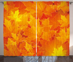 Maple Botany Foliage Leaf Curtain