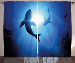 Fishes Circling in Ocean Curtain