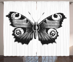 Butterfly Art Curtain