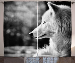 Wolf Portrait Curtain