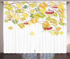 Colorful Vivid Fall Tree Curtain