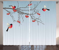 Bullfinch Birds Branches Curtain
