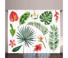 Heliconia Philodendron Curtain