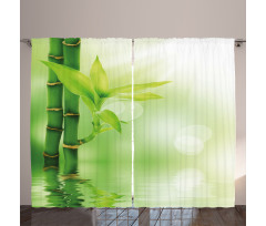 Bamboo out of Water Curtain