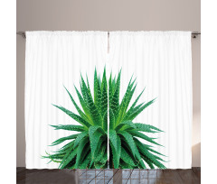 Vibrant Aloe Vera Curtain