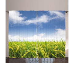 Paddy Rice Field Curtain