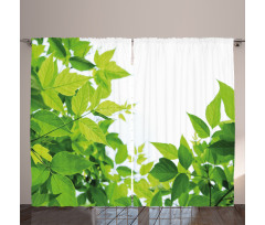 Birth of Nature Curtain