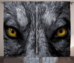 Wild Wolf Dangerous Mammal Curtain