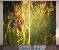 Vixen Mammal Summer Forest Curtain