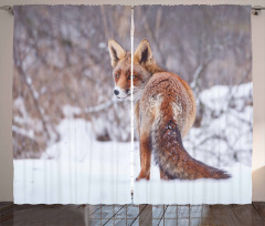 Snowy Country Furry Animal Curtain