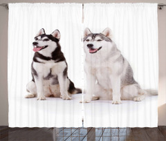 Furry Doggies Curtain