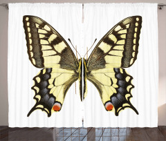 Old Papilio Curtain