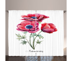 Vintage Bouquet Curtain