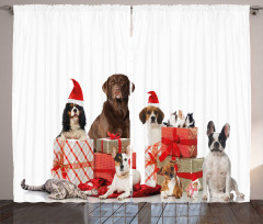 Pets Surprise Boxes Curtain