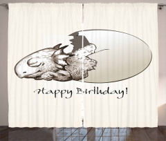Birthday Newborn Dino Curtain