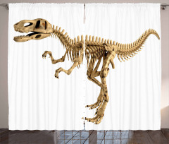 Fossil Dino Skeleton Curtain