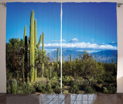 Tucson Countryside Cacti Curtain