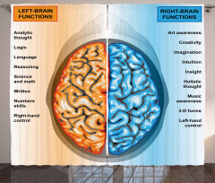 Left Right Brain Curtain