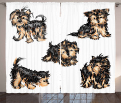 Terrier Cartoon Curtain