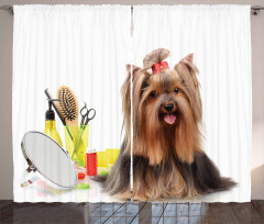 Hairstyle Puppy Curtain