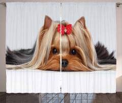 Lying Dog Ribbon Love Curtain