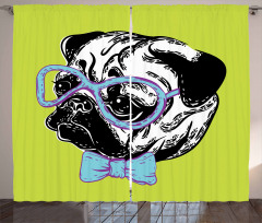 Pug with a Bow Tie Curtain