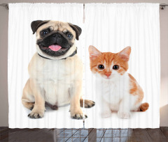 Kitten and Puppy Photo Curtain