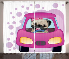 Dog Driving on Car Curtain