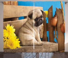 Puppy Photography on Bench Curtain