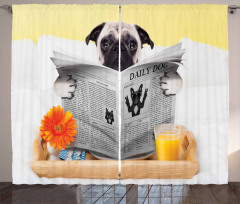 Pug Reading News Daily Dog Curtain