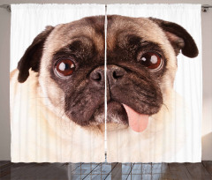 Upset Dog Sad Eyed Pet Curtain