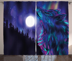 Aurora Borealis and Wolf Curtain