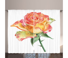 Lively Petals Botany Art Curtain