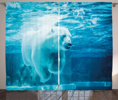 Arctic Polar Underwater Curtain