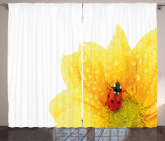 Ladybug Curtain