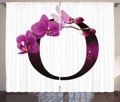 O Alphabet and Orchid Curtain