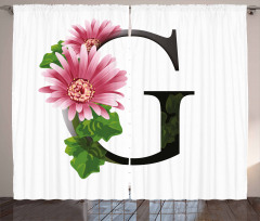 Gerbera Blossom G Font Curtain