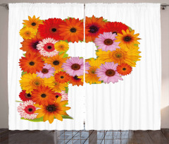 Arrangement with Sign Curtain