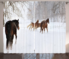 Horses in Snowy Forest Curtain