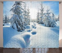 Blue Sky Tree Footprints Curtain