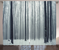 Foggy Mysterious Woods Curtain