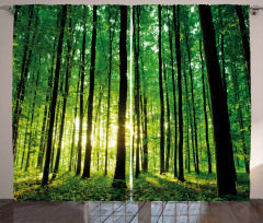 Green Woodland Sunrise Curtain