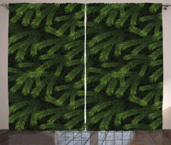 Pine Fir Coniferous Tree Curtain