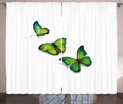 Spring Butterfly Curtain