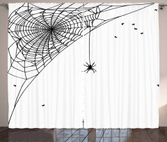 Corner Net Bug Flies Curtain