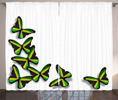 Butterflies with Flag Curtain
