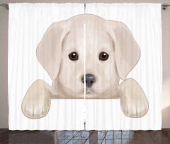 Puppy Hiding Paws Curtain